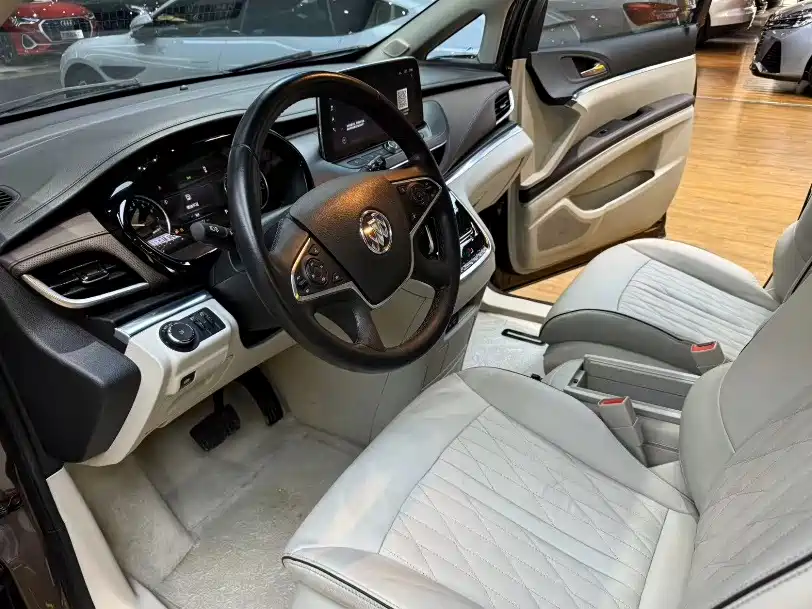 Buick GL8 — миниатюра 12
