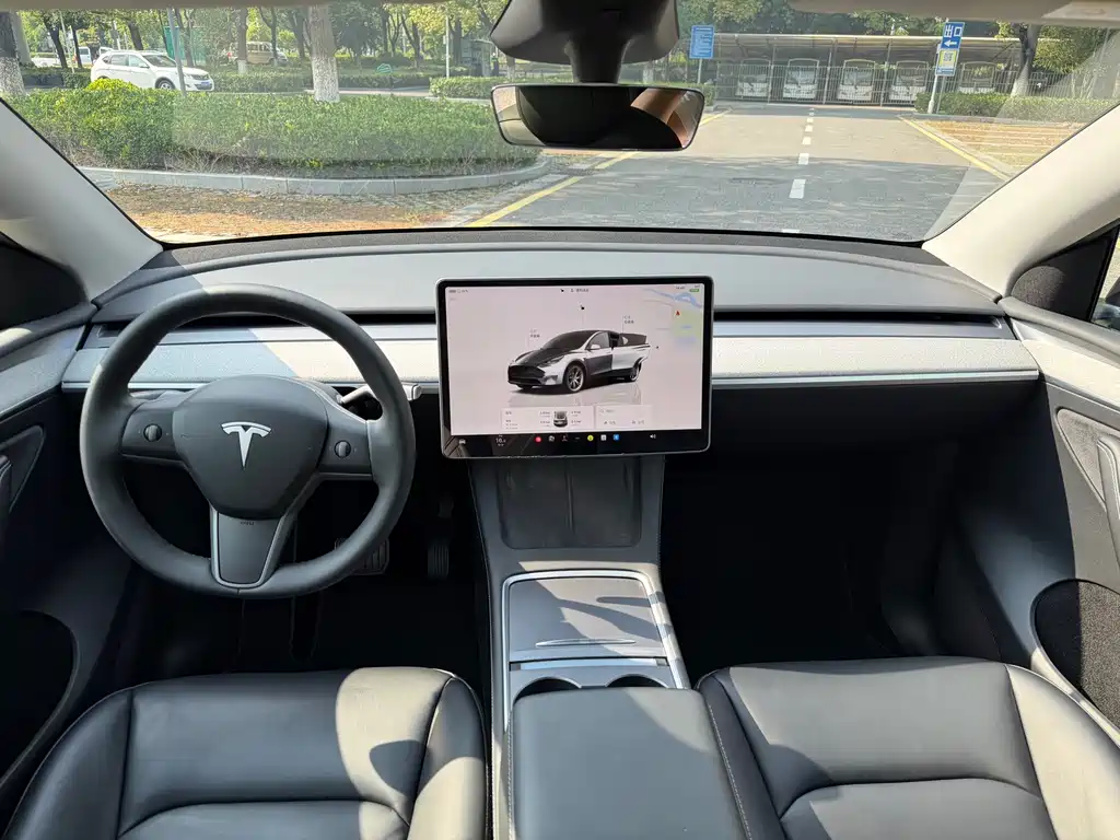 Tesla Model Y — миниатюра 10