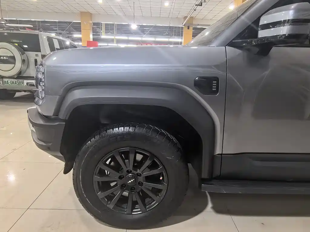 FANG CHENG BAO LEOPARD 5