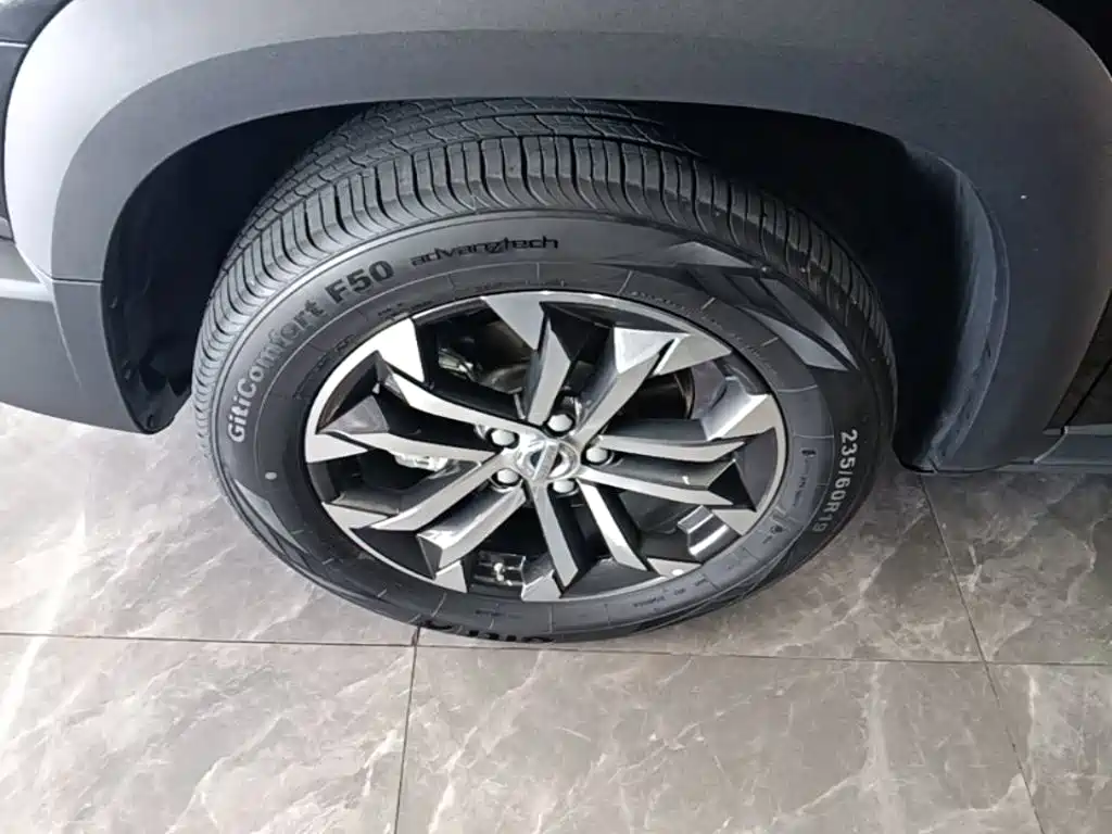 Haval Big Dog — миниатюра 23