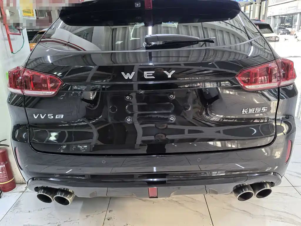 WEI PAI WEI BRAND VV5