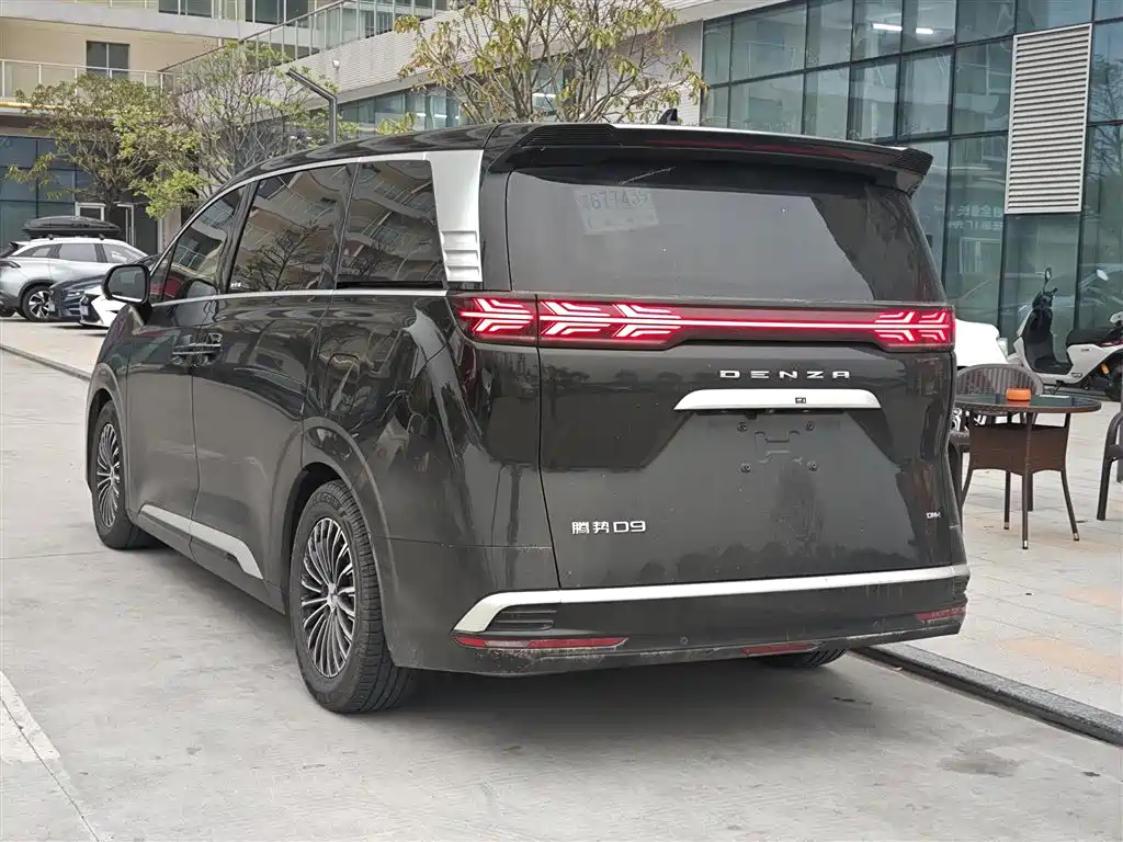 DENZA D9