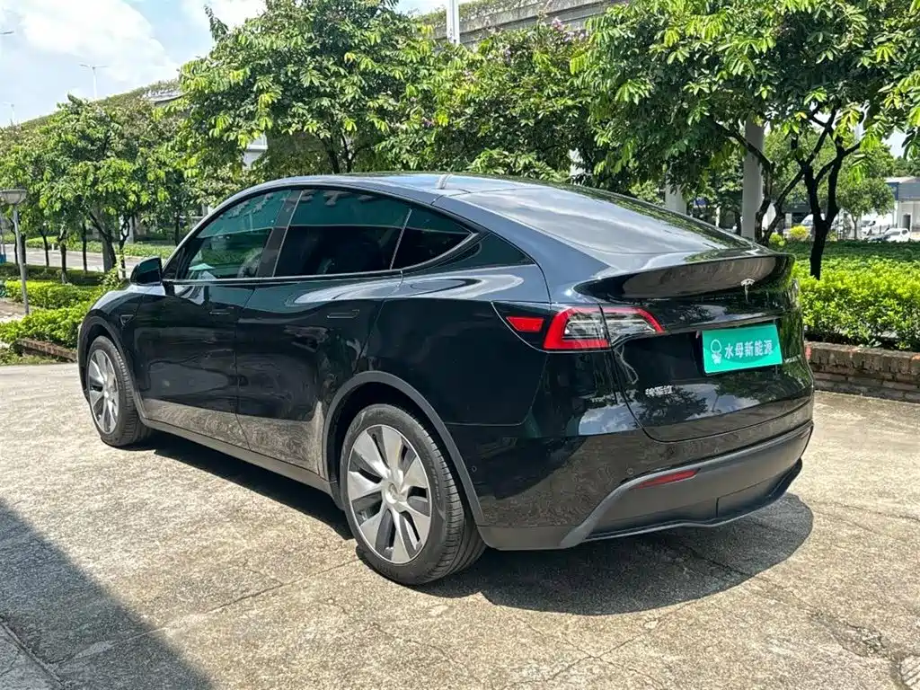 Tesla Model Y — миниатюра 6