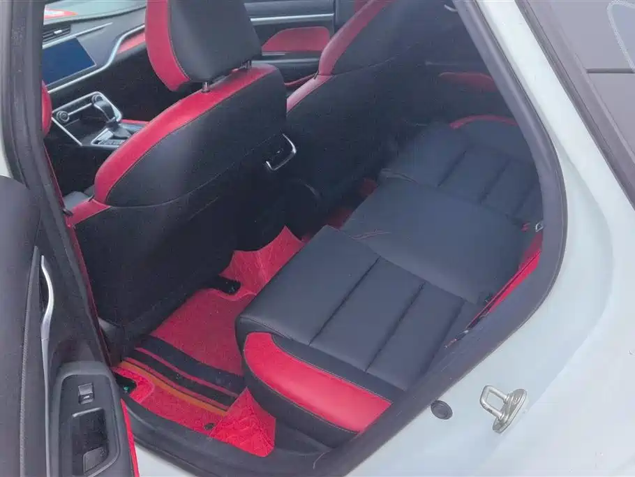 GEELY AUTOMOBILE BINRUI