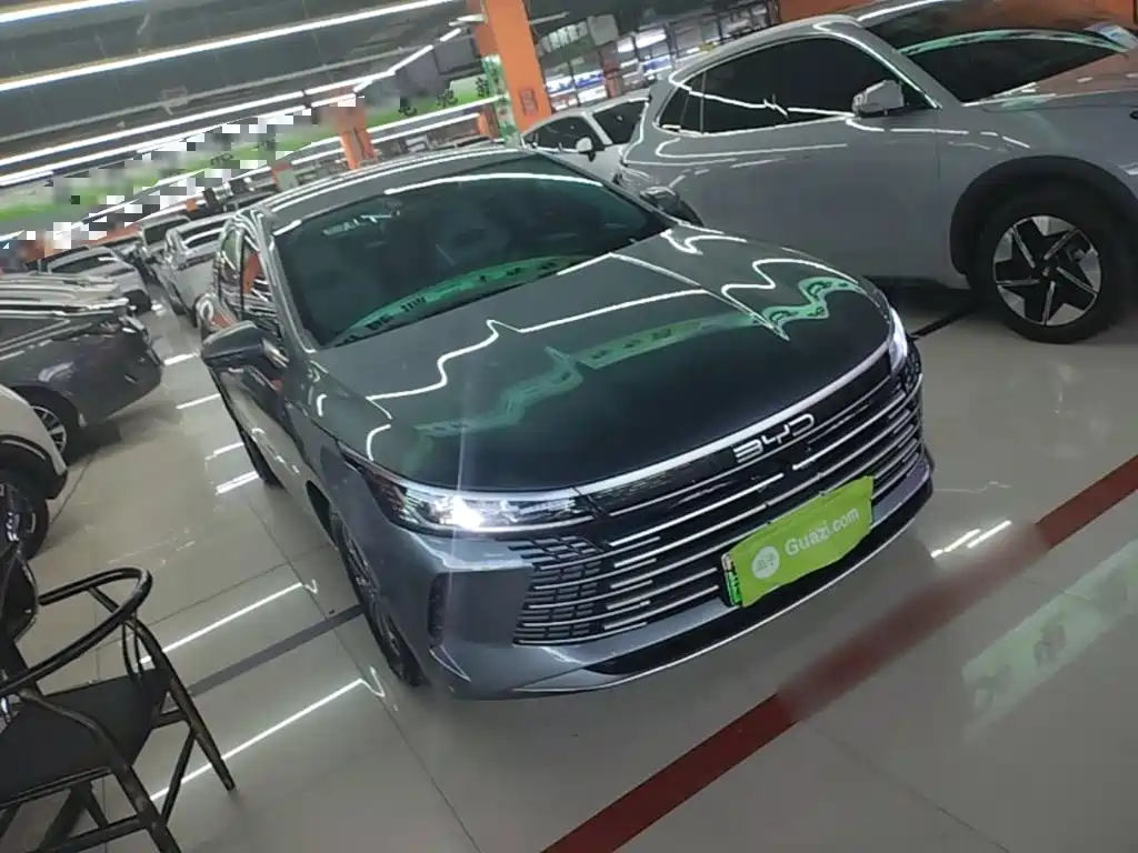 BYD Destroyer 05 2024 DM-i 55KM Luxury