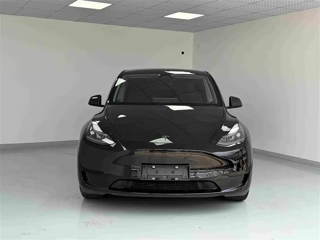 Tesla Model Y — миниатюра 2