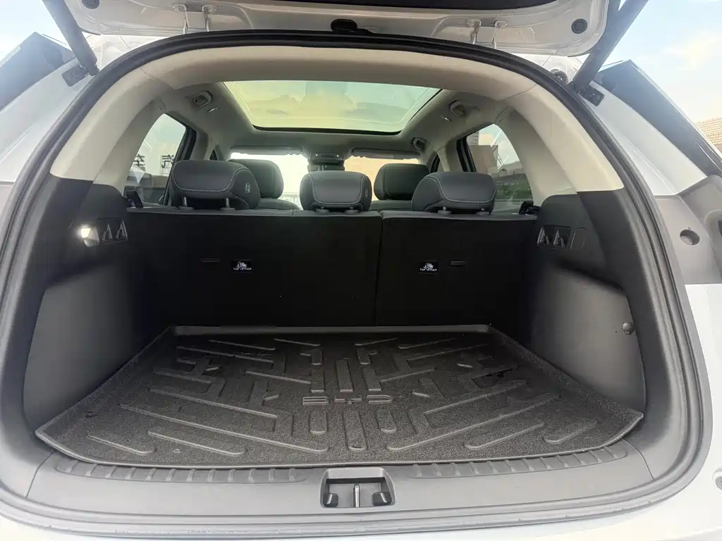 BYD Sealion 05 DM-i — миниатюра 23