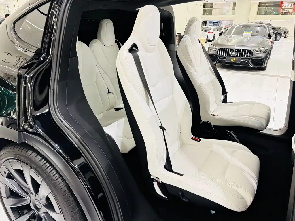 Tesla Model X — миниатюра 23