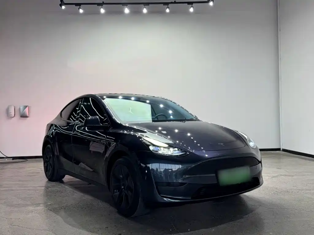 Tesla Model Y — миниатюра 6