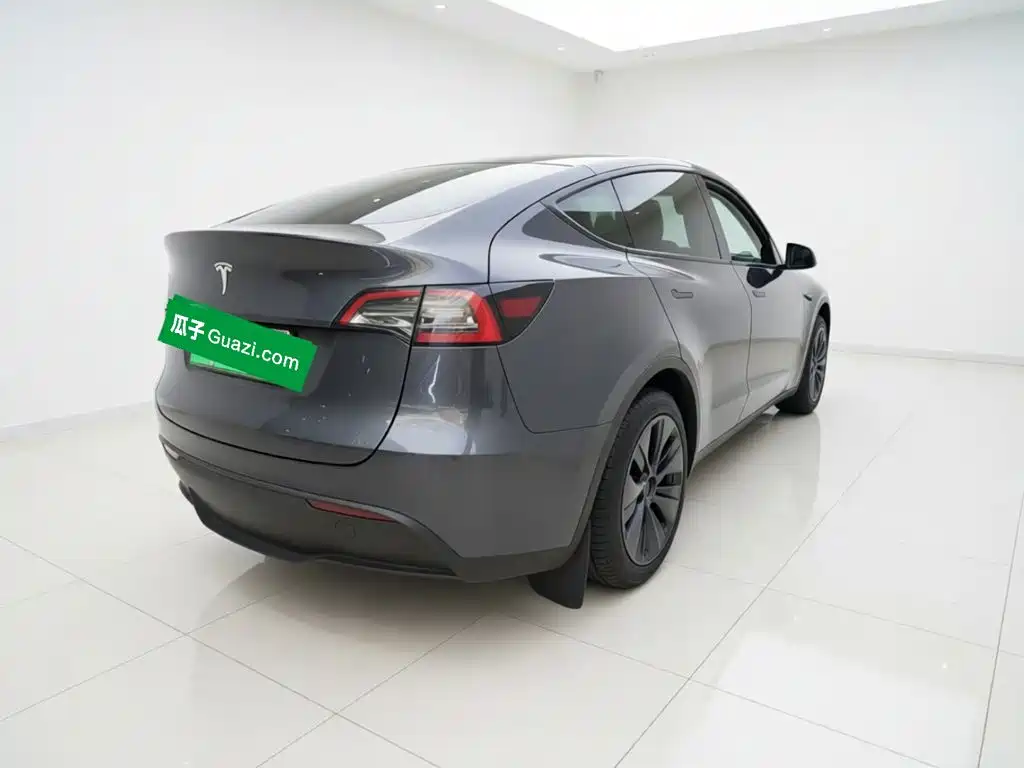 Tesla Model Y — миниатюра 4