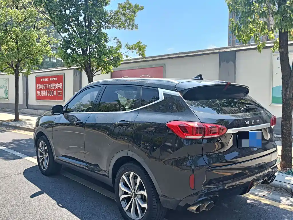 WEI PAI WEI BRAND VV6