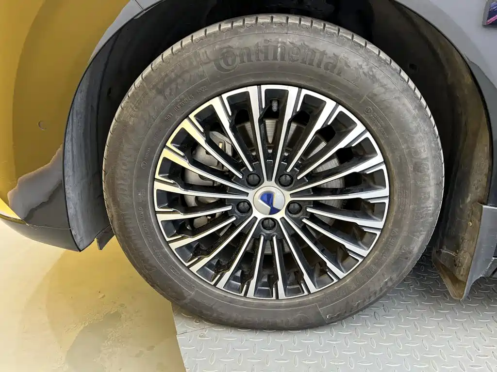 Denza Denza D9 — миниатюра 8