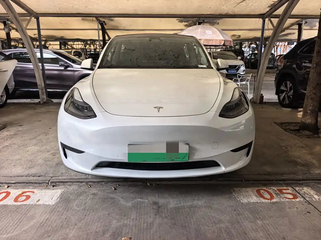 Tesla Model Y — миниатюра 2