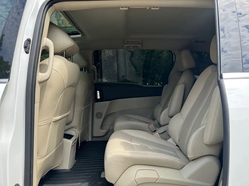 Buick GL8 — миниатюра 16