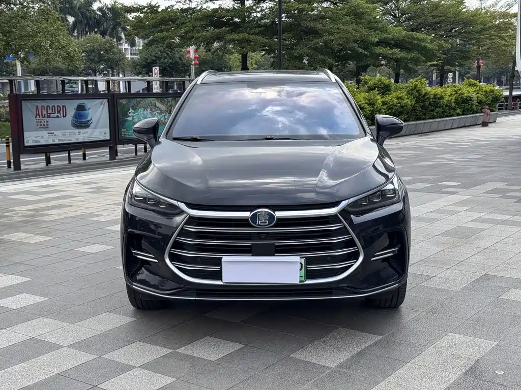 BYD Tang New Energy — миниатюра 2
