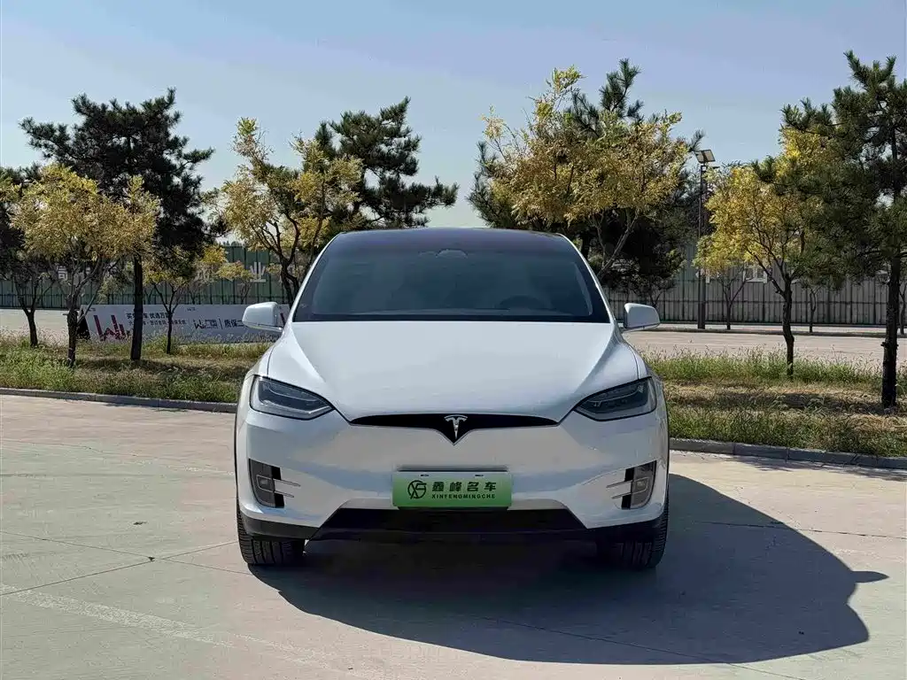 Tesla Model X — миниатюра 2