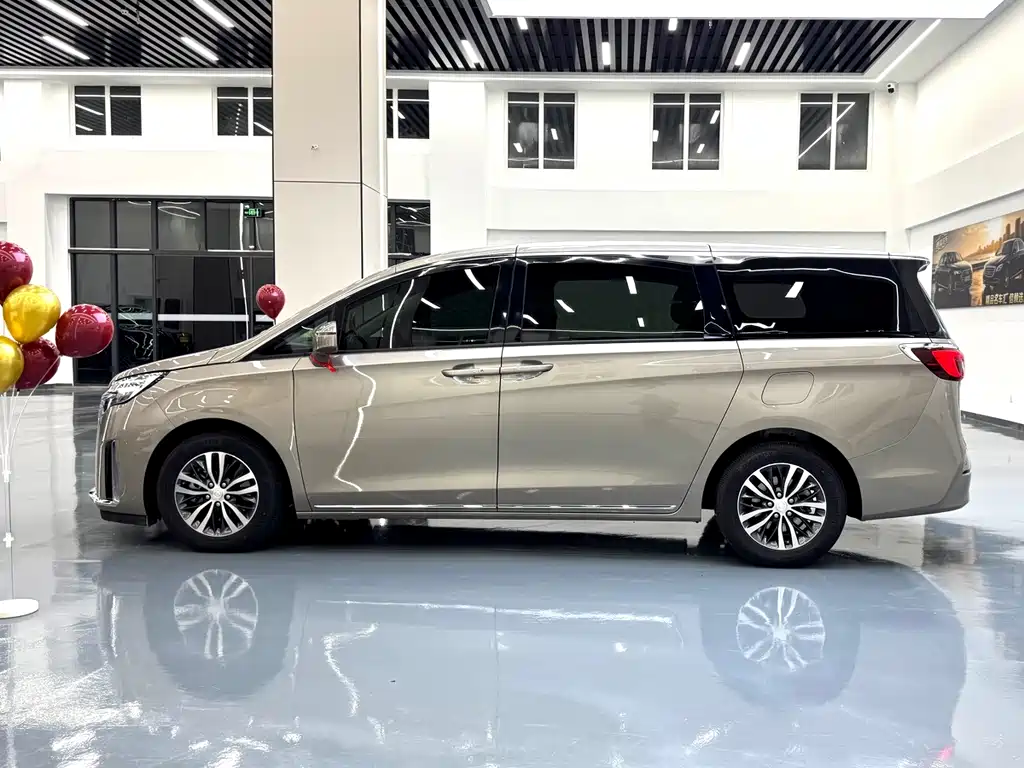 Buick GL8 — миниатюра 5