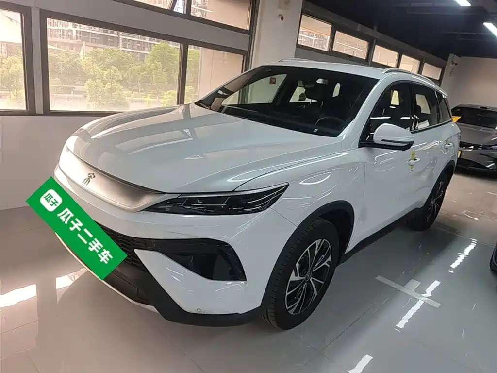 Byd Pro New Energy 2026
