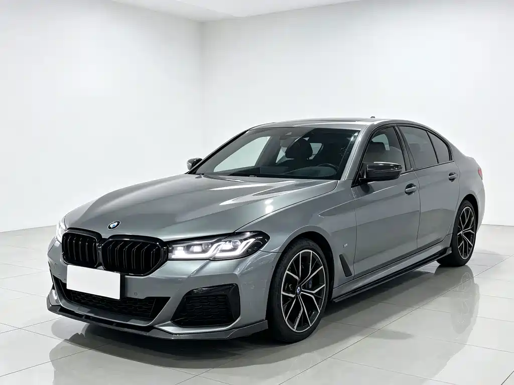 BMW 5 Series (Import) — миниатюра 3