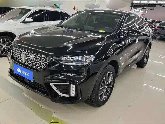 WEI PAI WEI BRAND VV5 2021