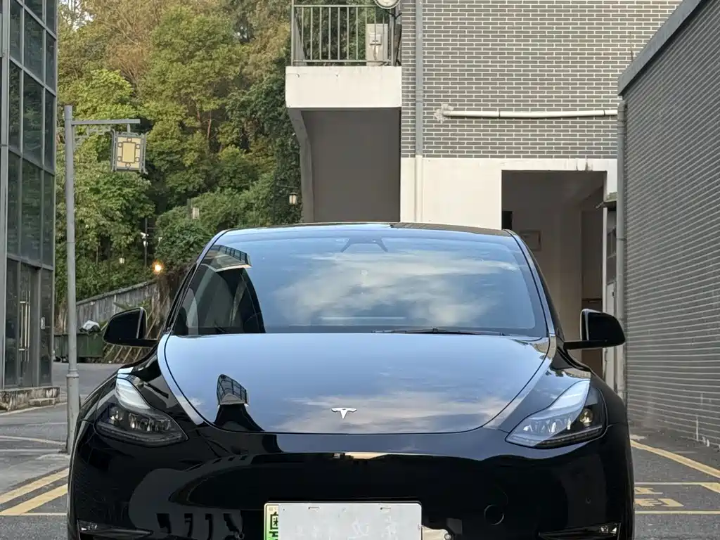 Tesla Model Y — миниатюра 2