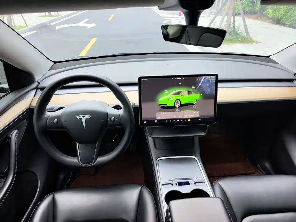 Tesla Model Y — миниатюра 17