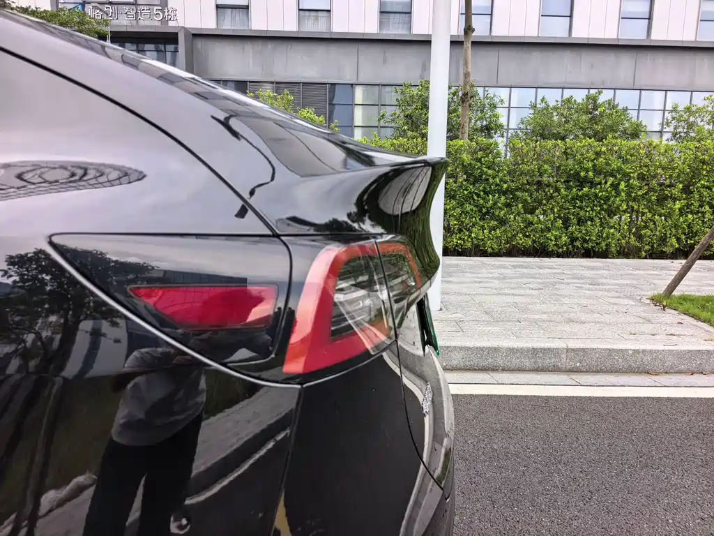 Tesla Model Y — миниатюра 19