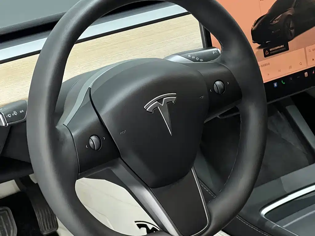 Tesla Model 3 — миниатюра 15