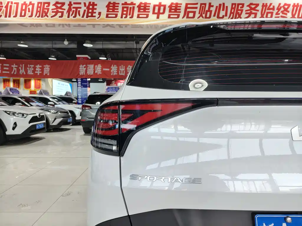 KIA LION PLATINUM EXPANDS THE WORLD