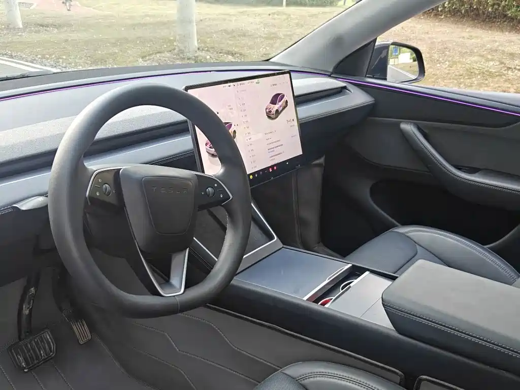 Tesla Model Y — миниатюра 4