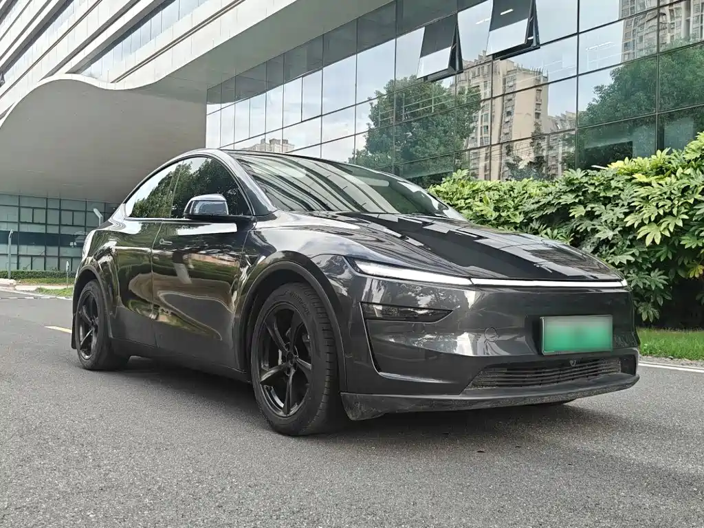 Tesla Model Y — миниатюра 3