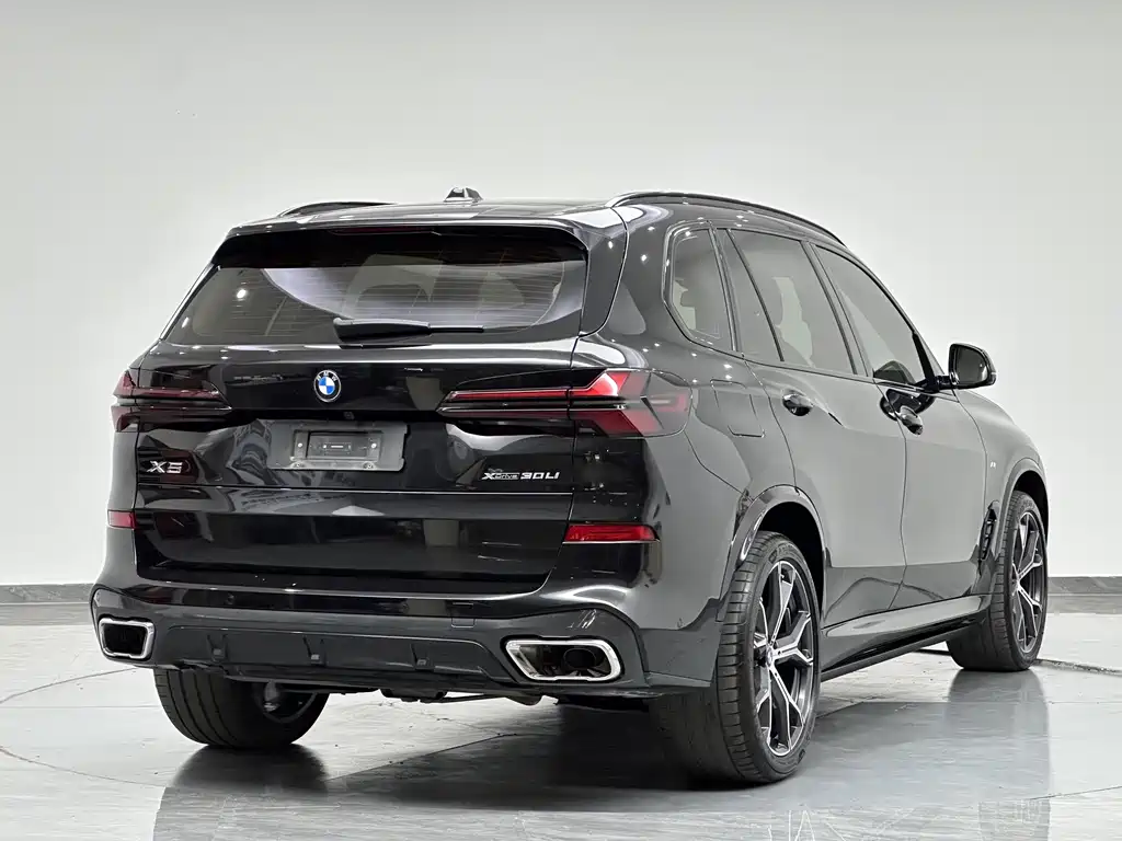 BMW X5 — миниатюра 8