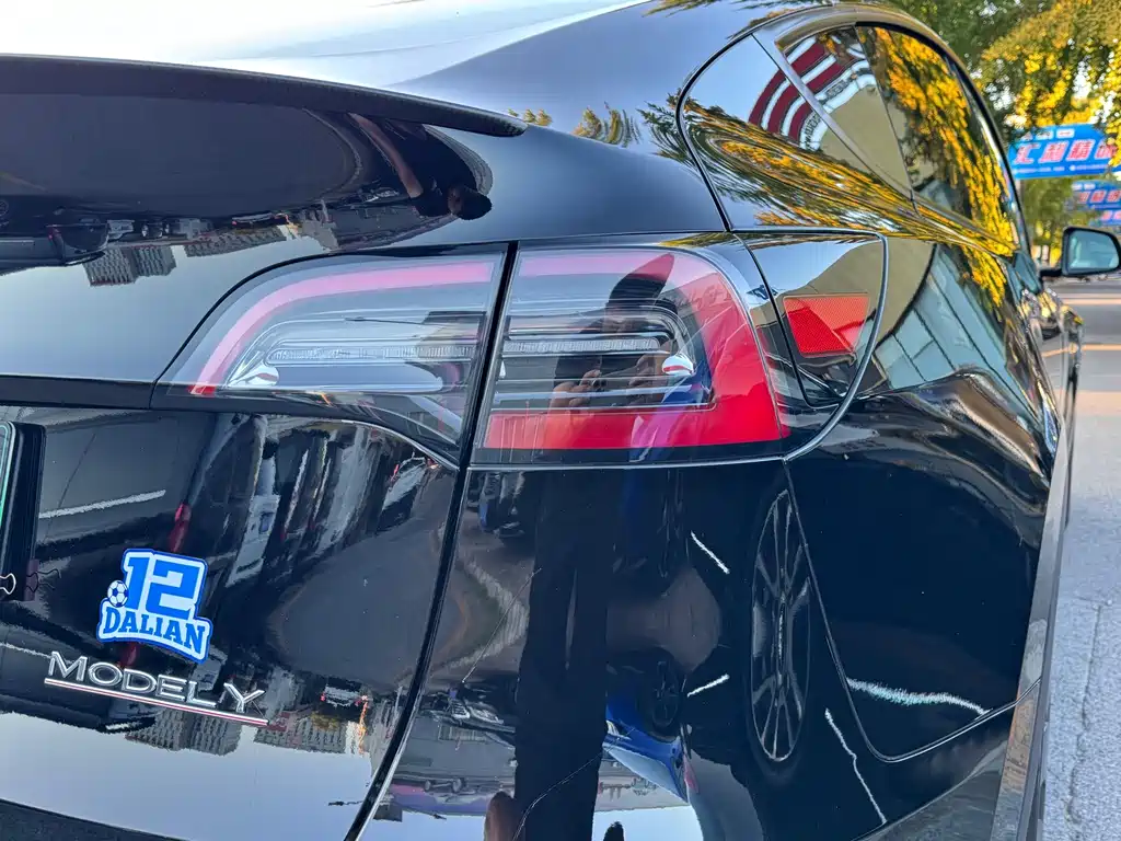 Tesla Model Y — миниатюра 6