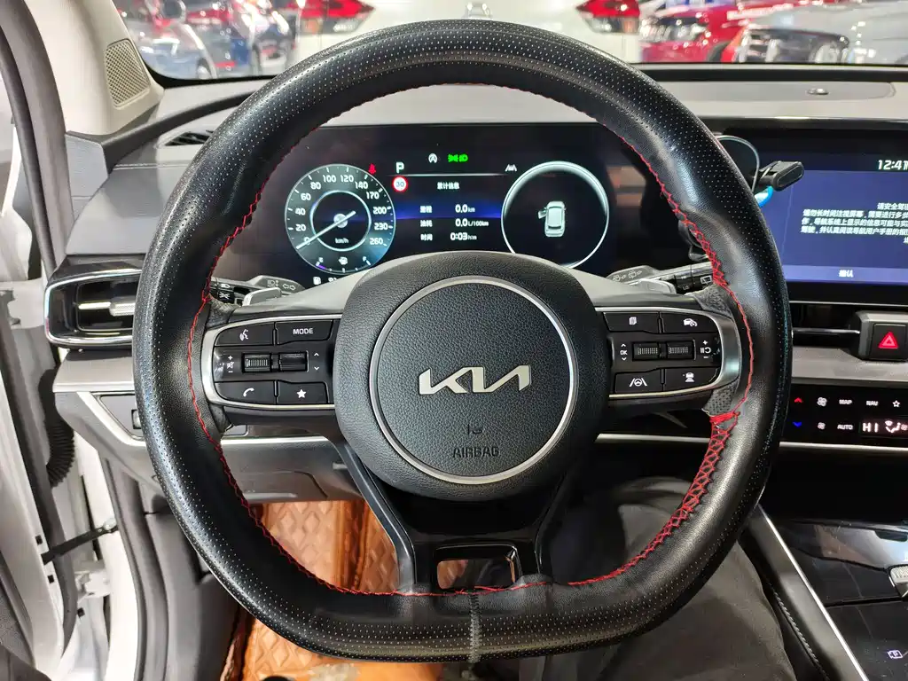 KIA LION PLATINUM EXPANDS THE WORLD