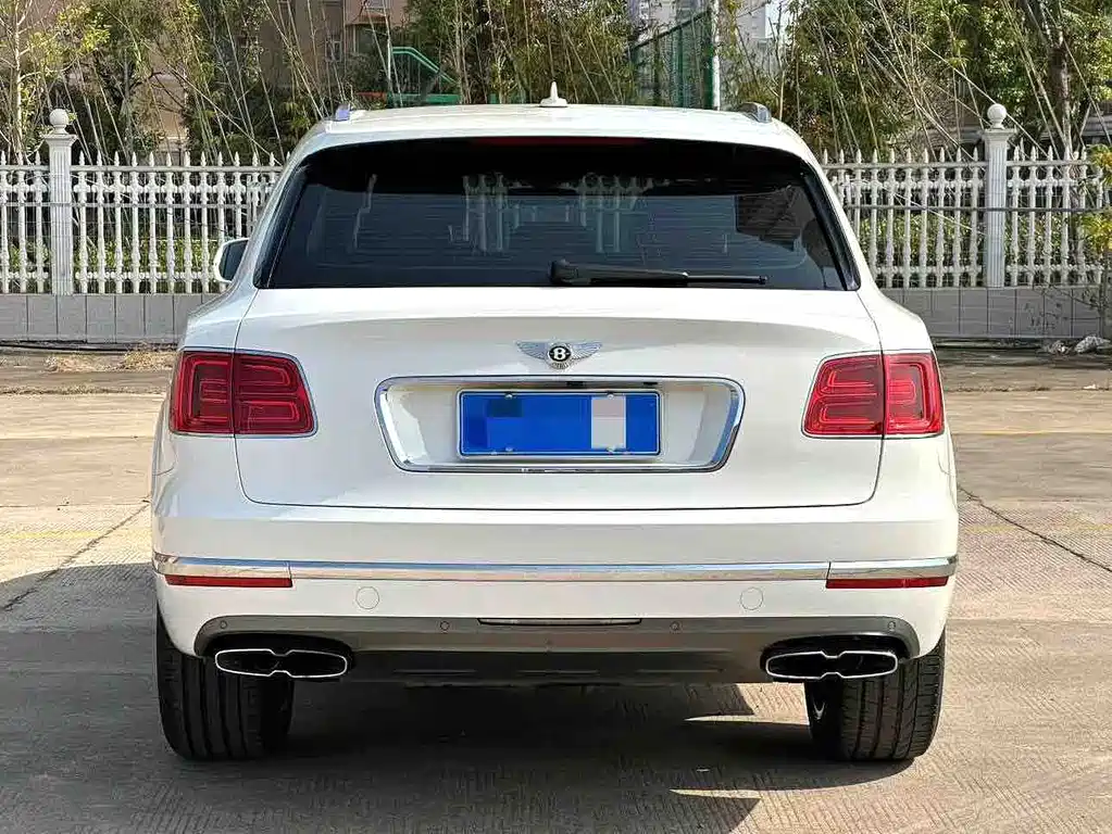 Bentley Bentayga 4.0T V8, фото 8