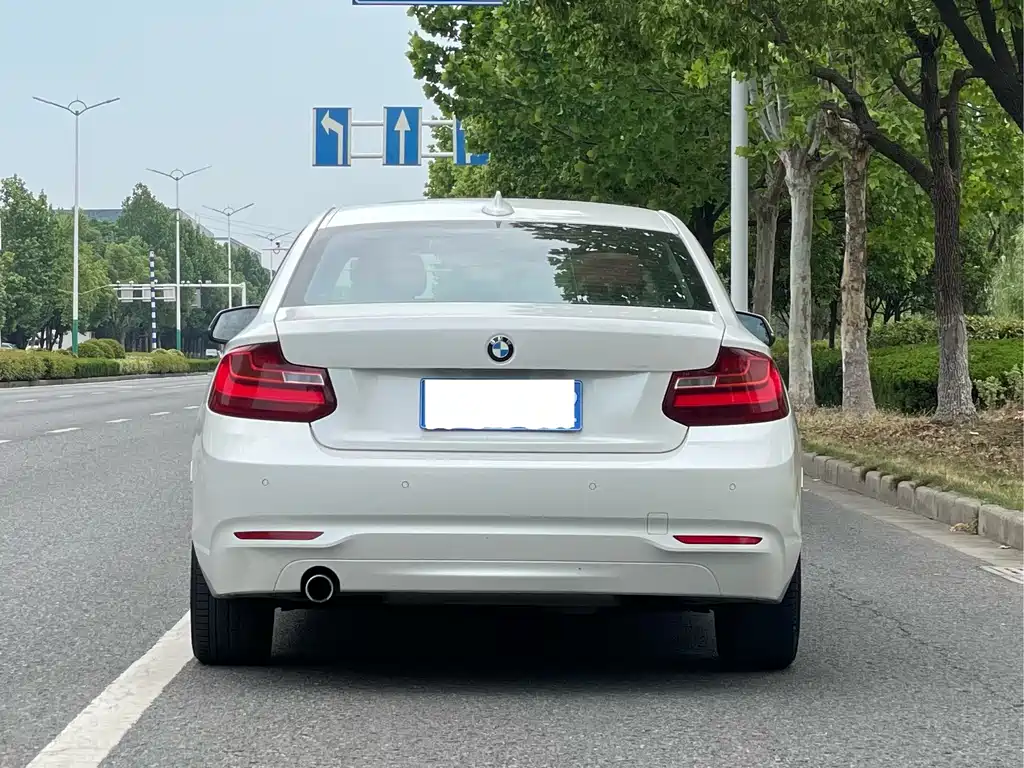 BMW 2 Series 2 2014 220i Lead