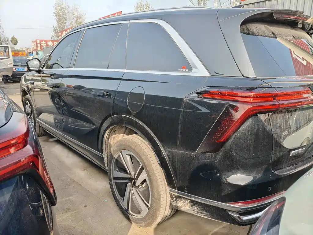 Wey Wey Lanshan — миниатюра 8