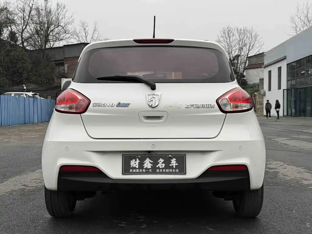 BAOJUN 310