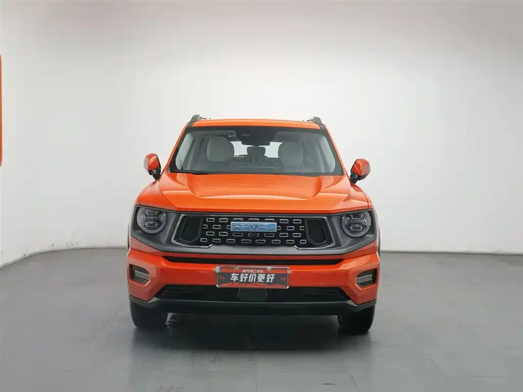HAVAL SECOND GENERATION BIG DOG NEW ENERGY