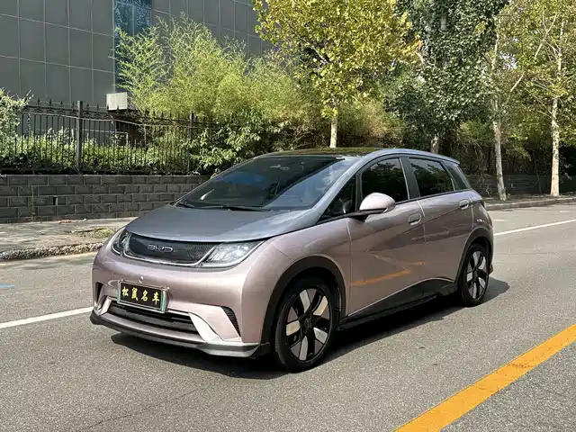 2023 BYD Dolphin