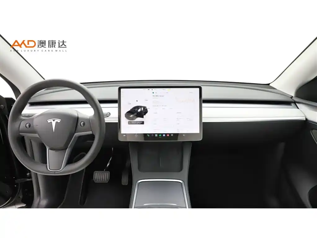 Tesla Model Y — миниатюра 5