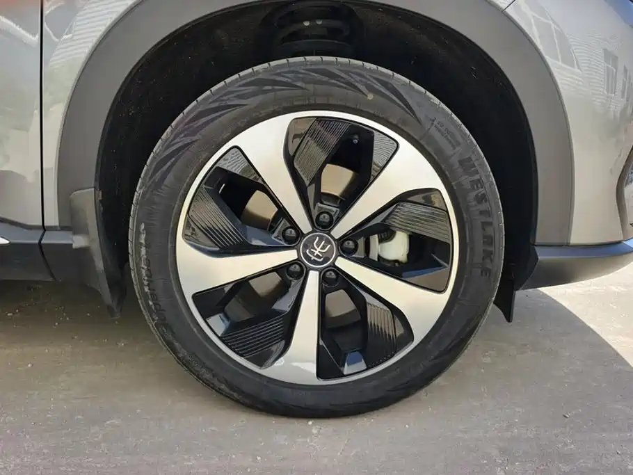BYD PLUS New Energy — миниатюра 6