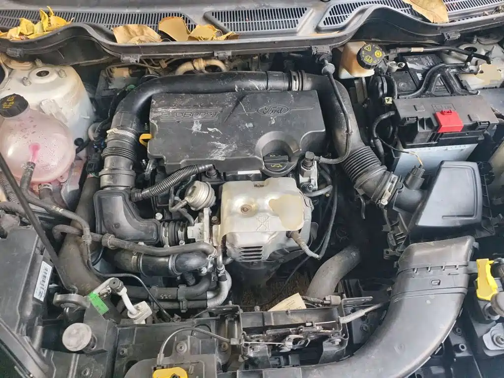 Ford Ecosport — миниатюра 21