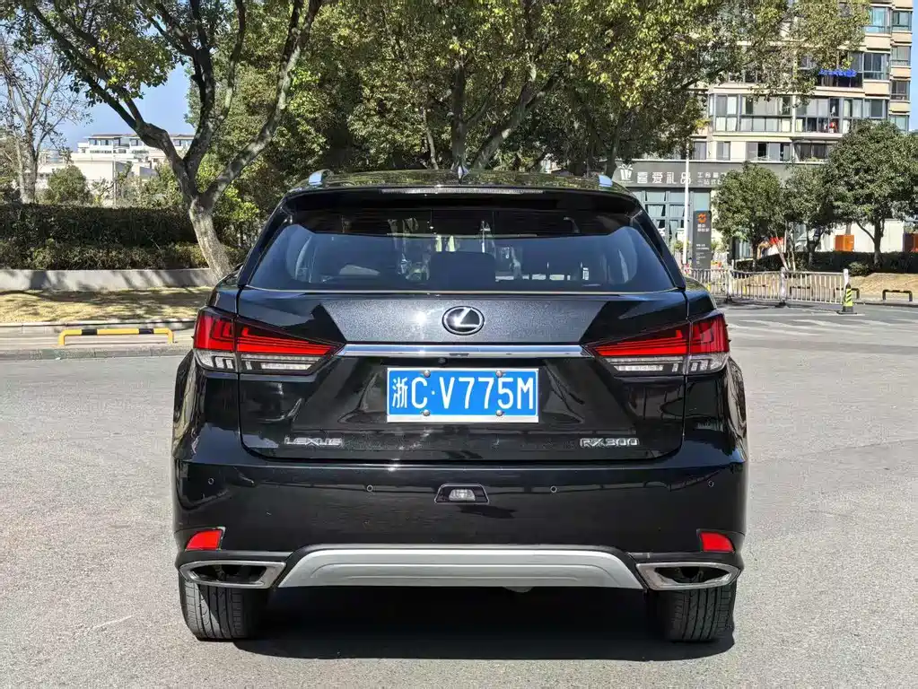 LEXUS RX