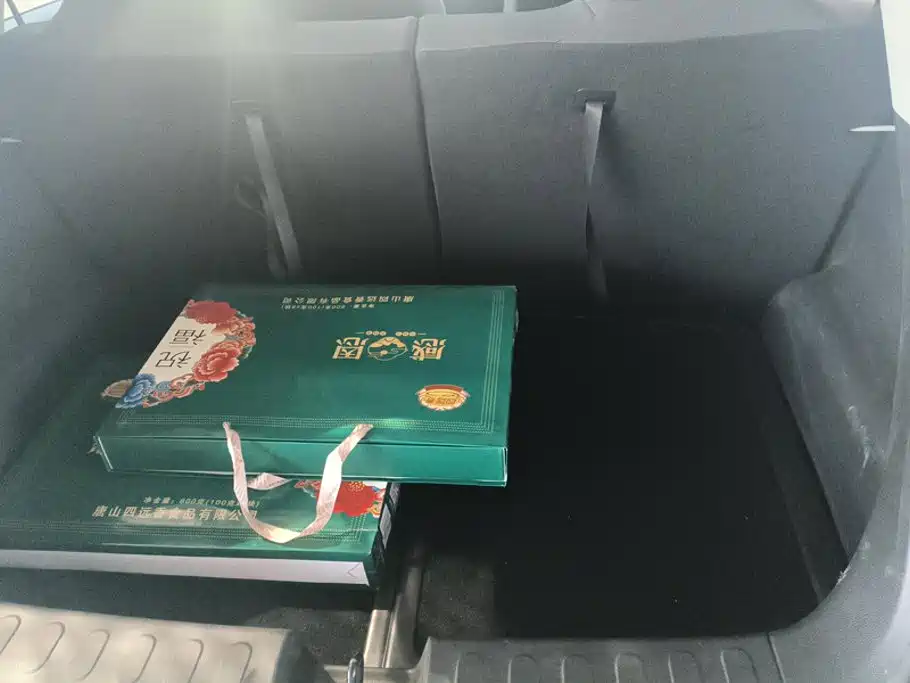 Wuling Bingo — миниатюра 4