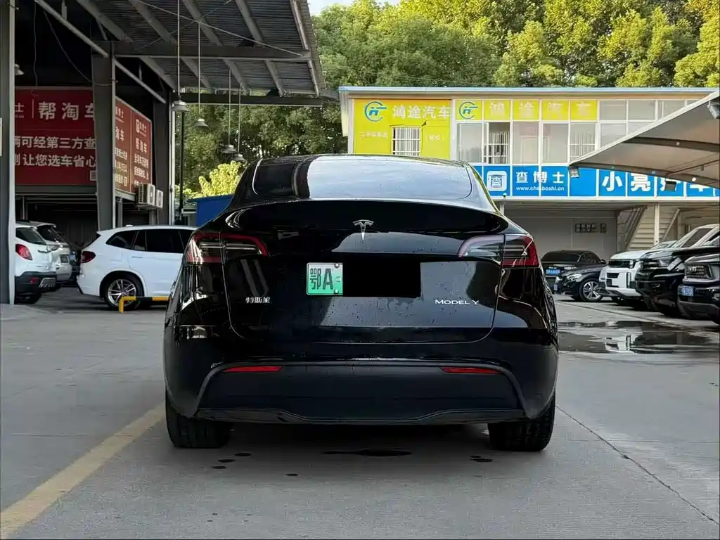 Tesla Model Y — миниатюра 10