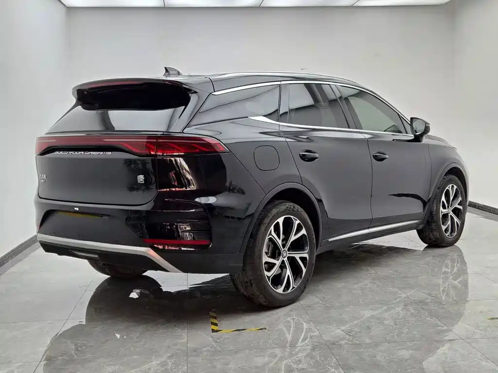 BYD Tang New Energy — миниатюра 6