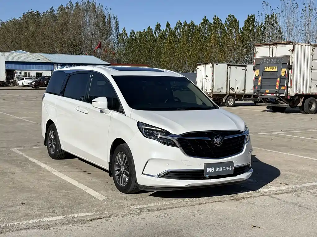 Buick GL8 — миниатюра 3