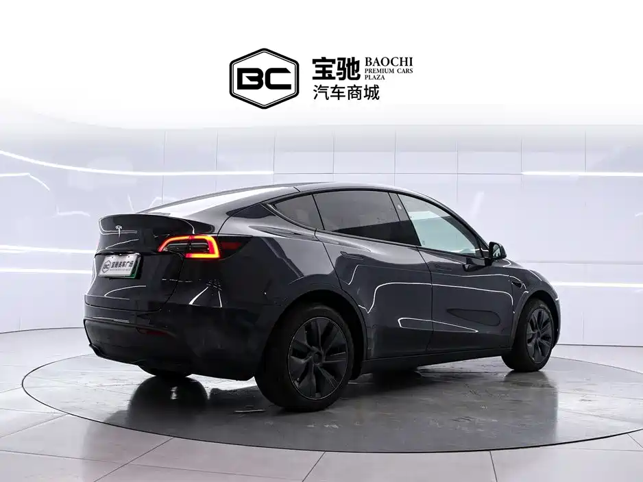 Tesla Model Y — миниатюра 3