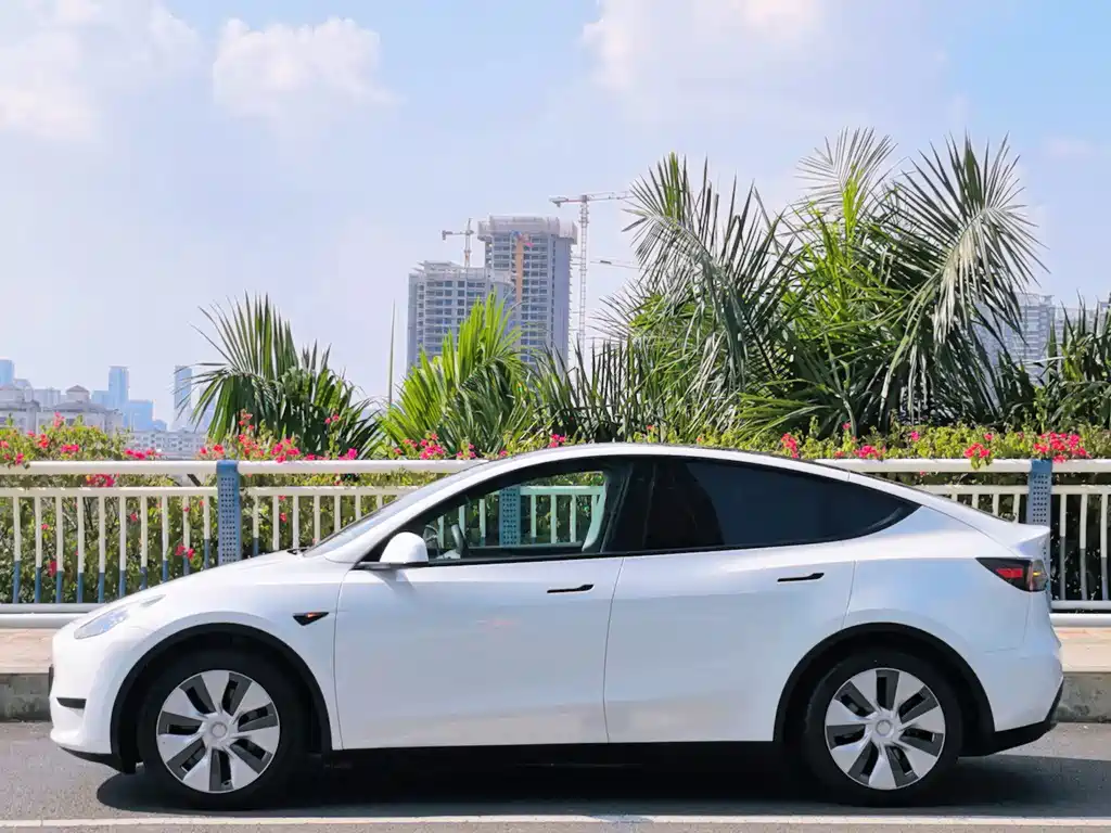 Tesla Model Y — миниатюра 7